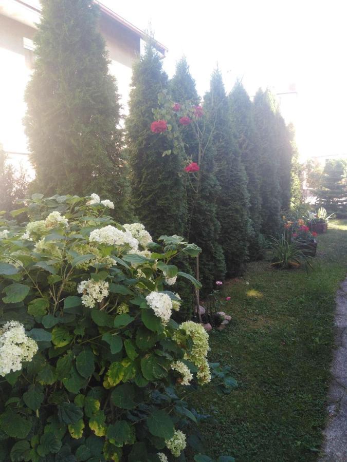 Hostel U Misiow Suwałki Esterno foto